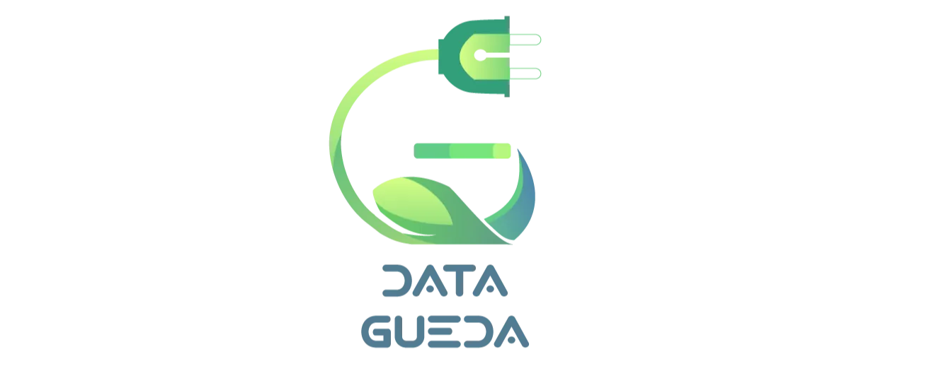 DATA GUEDA logo